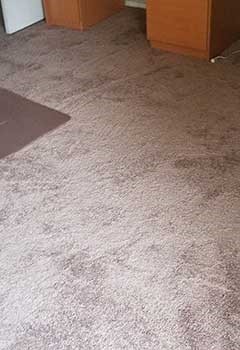 Cheap Rug Cleaning Monrovia